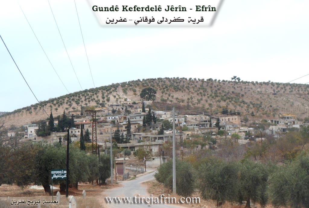 Photo of Keferdelê Jorin